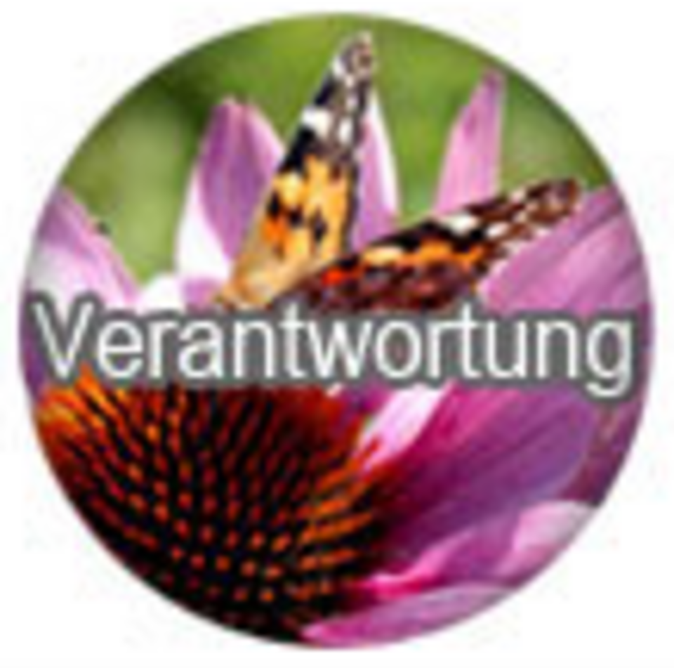 t3://file?uid=5843