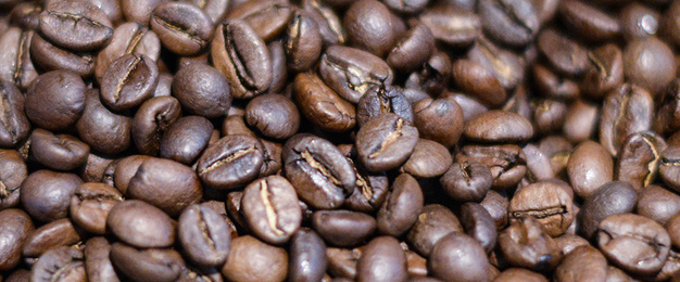 Kaffee­maschinen bei manes die electro gmbh in Erfurt