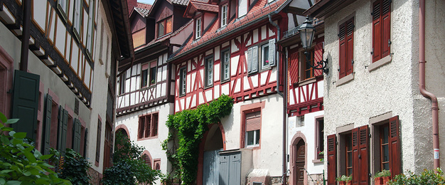 Altbau­sanierung bei manes die electro gmbh in Erfurt